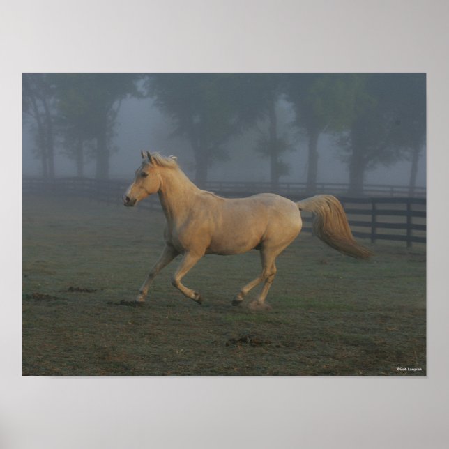 Póster Bob Langrish | Palomino Tennessee Walker en niebla (Frente)