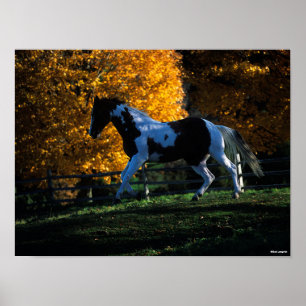 Póster Bob Langrish   Pintar caballo en otoño