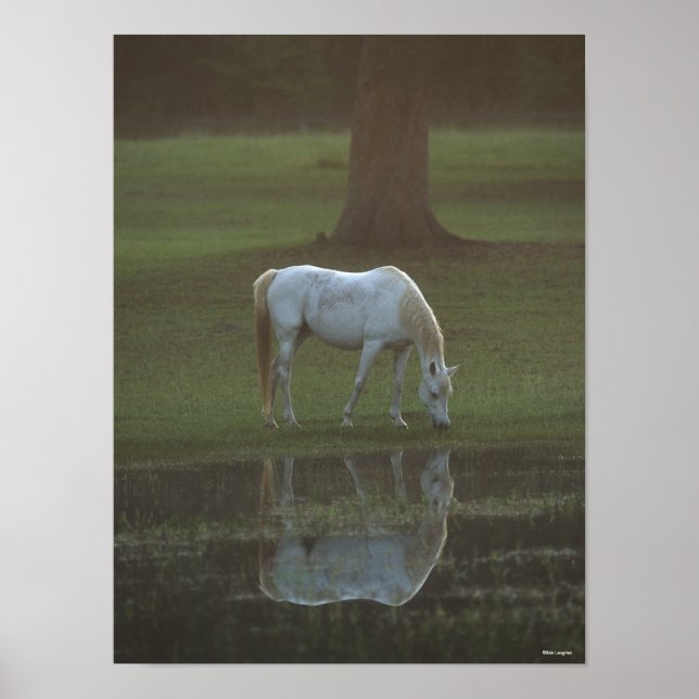 Póster Bob Langrish | Reflexión sobre el agua de barrido  (Frente)