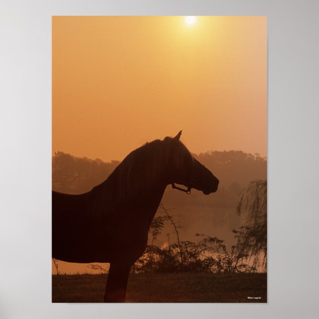 Póster Bob Langrish | Silhouette de caballos de Montaña R (Frente)