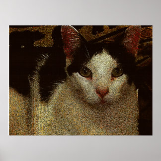 Póster Bob the Serious