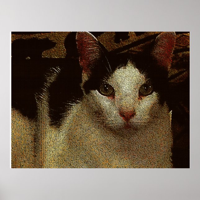 Póster Bob the Serious (Frente)