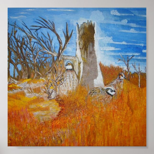 Póster Bob White Quail (Frente)