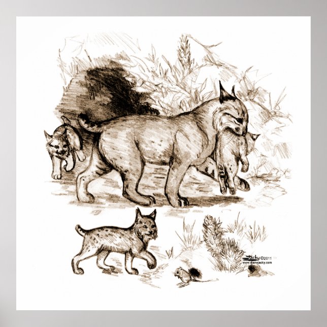 Póster Bobcat Family (Frente)