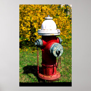 Póster Boca de incendios de Nashville