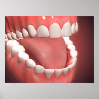 Boca Humana Abierta, Mostrando Dientes, Gomas Y Le