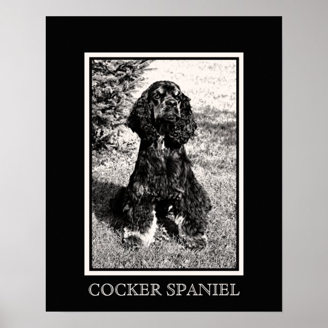 Póster Boceto de Cocker Spaniel (Frente)