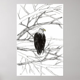 Póster Boceto de paisaje desértico del Árbol del Águila c