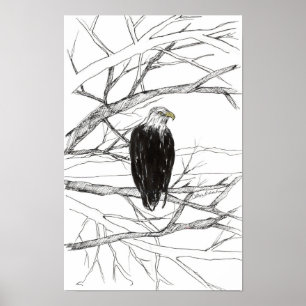 Póster Boceto de paisaje desértico del Árbol del Águila c