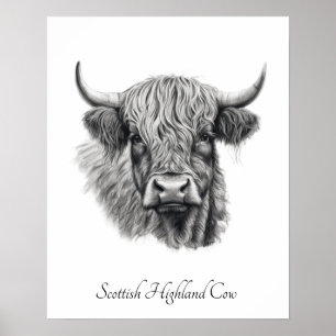 Póster Boceto de Vaca de las Tierras Altas Escocesas con