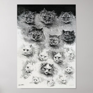 Póster Bocetos del gato, Louis Wain