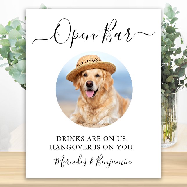 Póster Boda De Perro mascota Bar Abierto Personalizado Be (Subido por el creador)