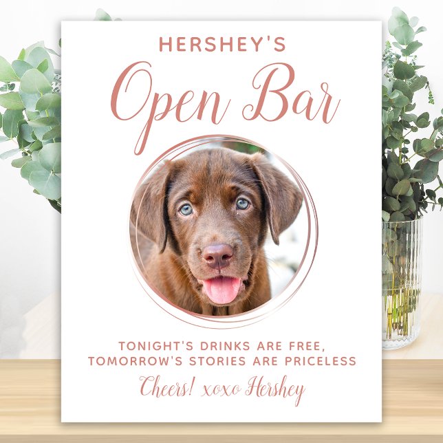 Póster Boda mascota Bar abierto Rosa de fotografía perro  (Subido por el creador)