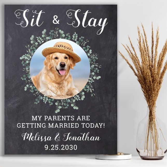 Póster Boda Mascota de fotografía de perro personalizado  (Subido por el creador)
