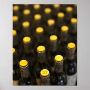 Póster Bodega Marques de Riscal bodega, botellas de vino