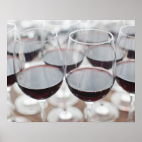 Bodega Marques de Riscal, degustación de vinos