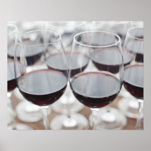 Póster Bodega Marques de Riscal, degustación de vinos