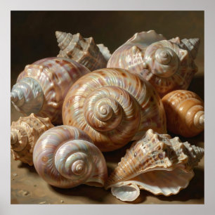 Póster Bodegón Iridescente de Conchas Marinas