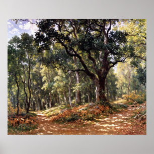 Póster Bodmer Oak
