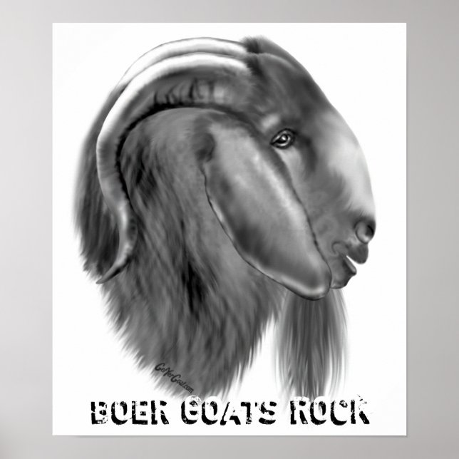 Póster Boer Goat Poster (Frente)