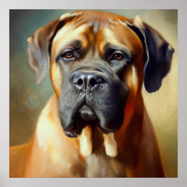 Póster Boerboel Dog (Frente)