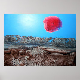 PÓSTER BOGOMIL SUNRISE 2