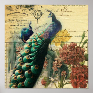 Póster boho floral french country moderno vintage peacock