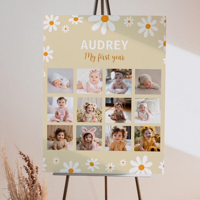 Póster Boho Light Daisy Birthday Photo Milestone Poster (Subido por el creador)