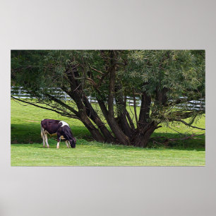 Póster Bola de campo