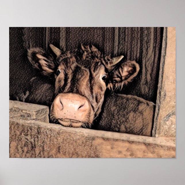 Póster Bola Rustica de Esbozo de Vintage (Frente)