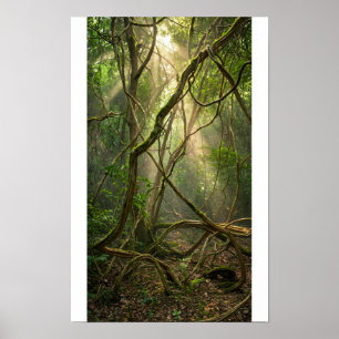Póster Bolas de Golf del Bosque Místico de Namal Uyana -