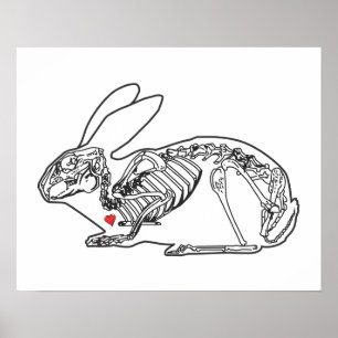 PÓSTER BOLLO DE SKELLY