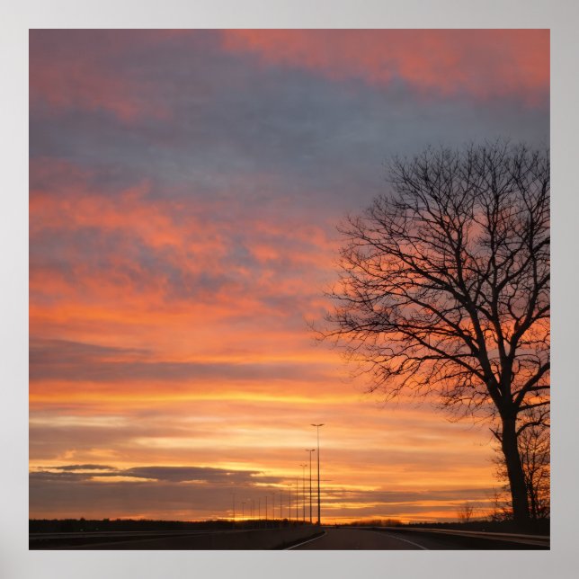 Póster Bolso (Frente)