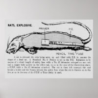 Bomba de rata, catálogo descriptivo de dispositivo