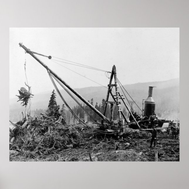 Póster Bomba de trompa: 1913 (Frente)