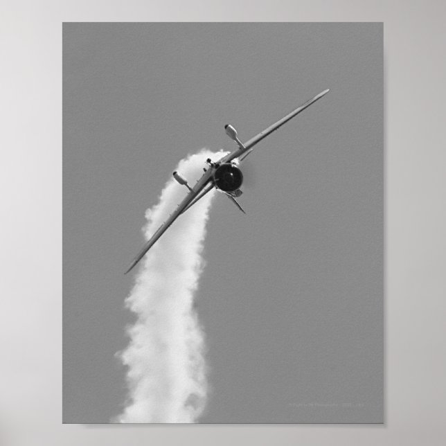 Póster Bombardero de buceo de la Marina japonesa Aichi D3 (Frente)