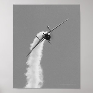 Póster Bombardero de zambullida japonés de Aichi D3A de