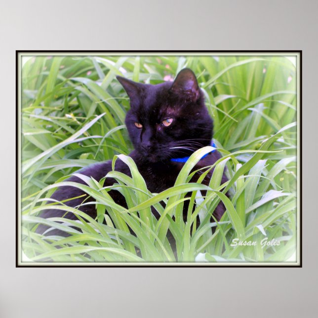 Póster Bombay Black Cat Print (Frente)
