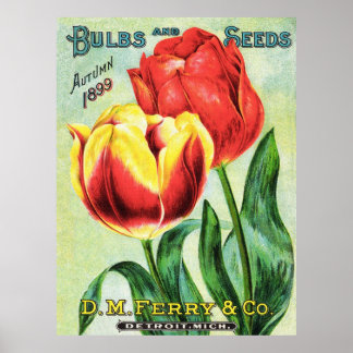 Póster Bombillas y tulipanes rojos y amarillos