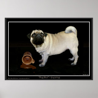 Póster "BOMG SHOT" Poster de Pug