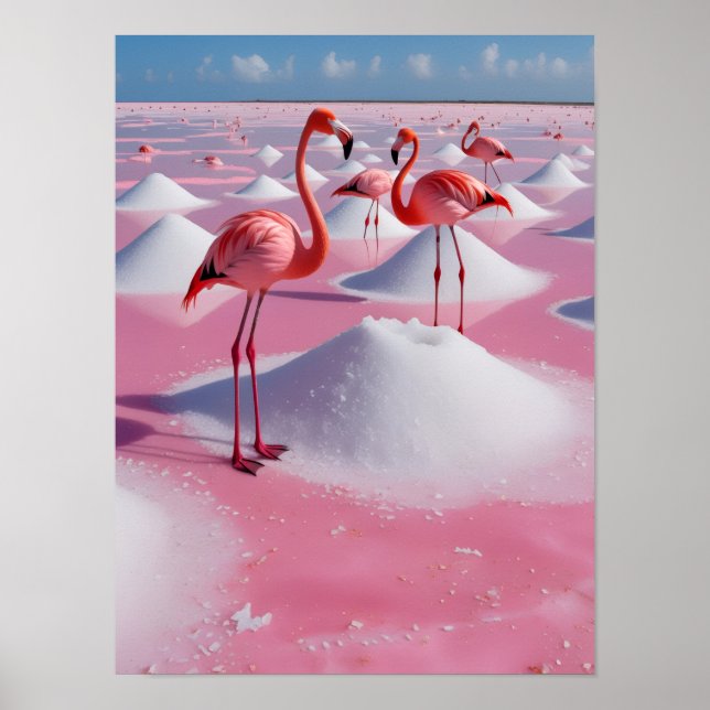 Póster bonaire pink (Frente)