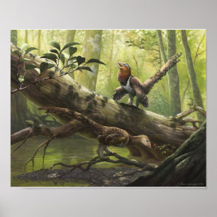 Póster Bondoc aviar de Balaur