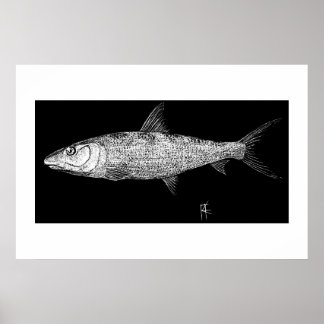 Póster Bonefish Scratch