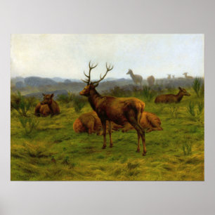 Póster Bonheur - El Monarca Del Envase