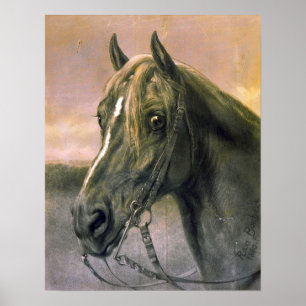 Póster Bonheur - Head Of A Horse