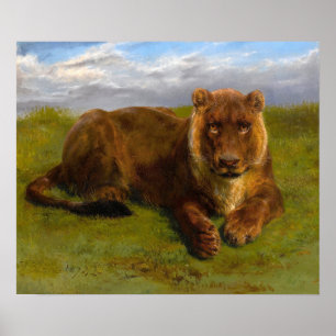 Póster Bonheur - Lioness Posing