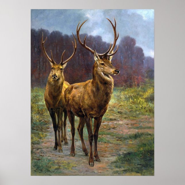 Póster Bonheur - Monarcas Del Bosque (Frente)