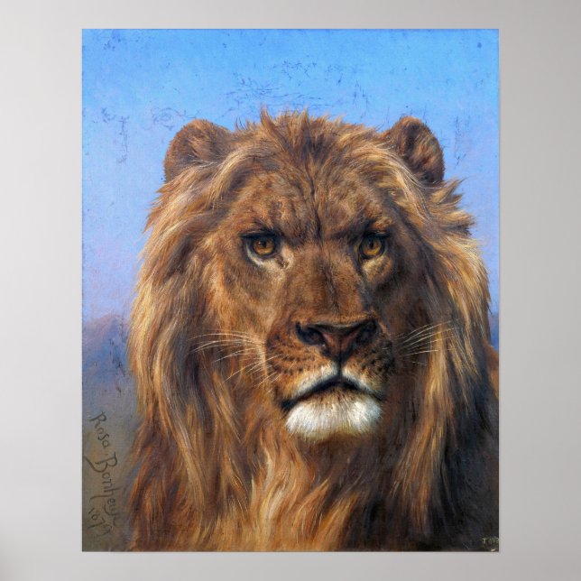 Póster Bonheur - Portrait Of A Lion (Frente)