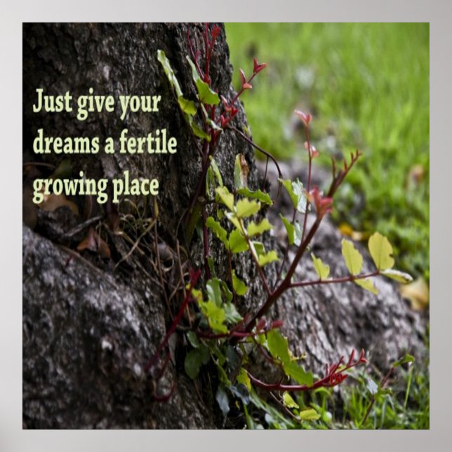 Póster Bonitas citas (Frente)