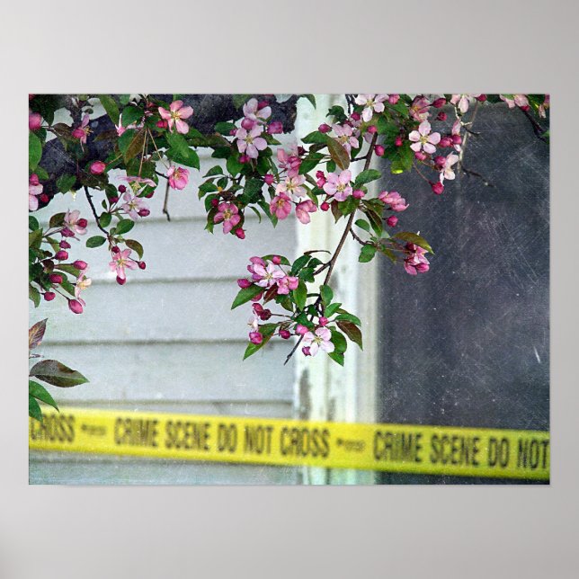 Póster Bonito (Frente)